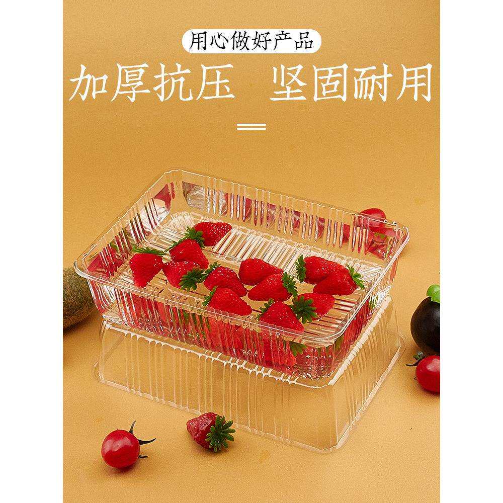 一次性无盖水果包装盒草莓盒菠萝蜜加厚透明一斤装水果打包盒