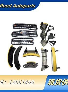 12651450适用09-15君越3.0GL8S昂科雷SRX3.6正时链时归修包