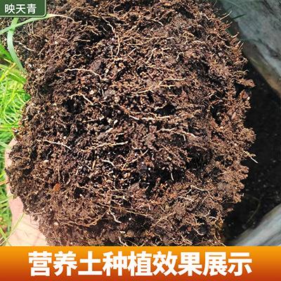 腐殖土园林绿化种植土合成草炭土泥炭土高有机质含量疏松透气