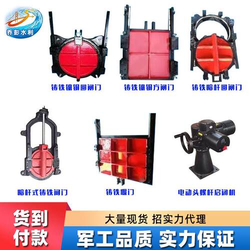 电动启闭机水库河渠机闸不锈钢一体式铸铁镶铜双向止水闸门