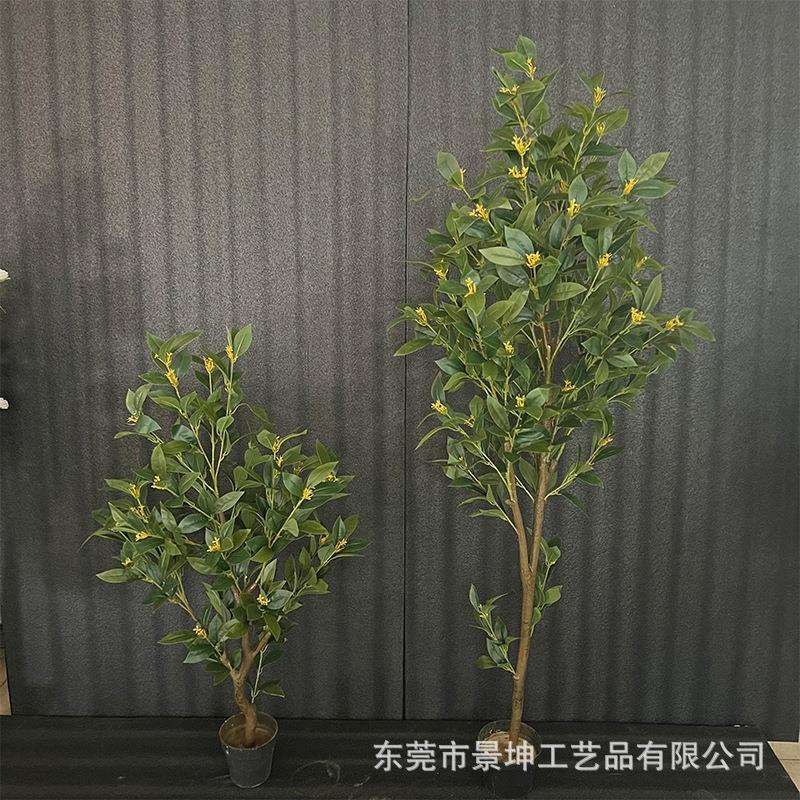 仿真桂花树室内造景塑料盆栽装饰办公室落地摆件庭院景观拍摄道具