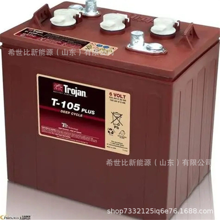 Trojan邱健蓄电池T-105垛板叉车/洗地机6V225堆高机观光机洗地机