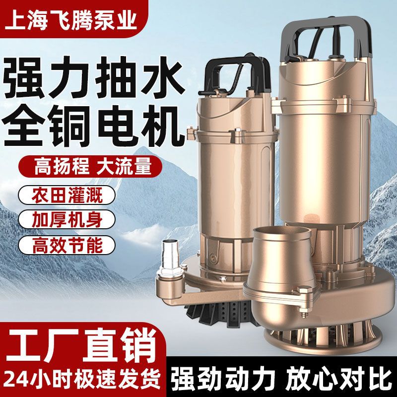 德国进口上海潜水泵220V抽水泵农用水井清水泵灌溉家用流量扬程人
