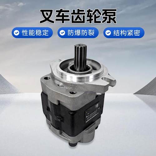叉车齿轮泵CBHZG-F34-AL13L高压液压泵主油泵国三杭叉原厂