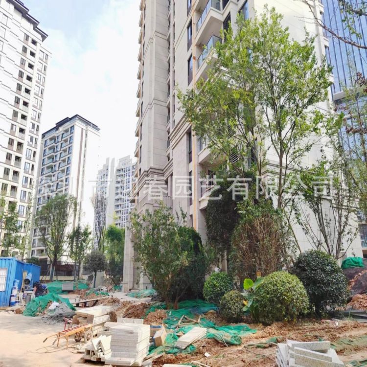 冷水江涟源市园林工程设计施工园林景观建设绿化设计施工工程公司