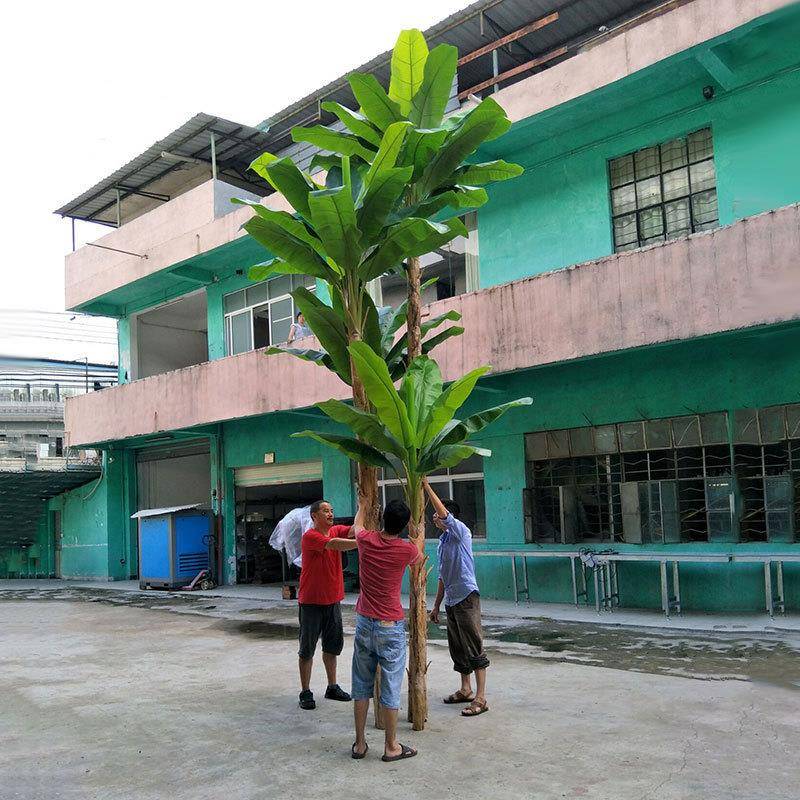 按要求制作仿真芭蕉树过胶手叶质感办公室商场装饰假绿植盆栽5米