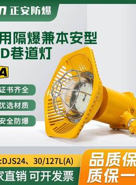 正安防爆DJS24/30127L(A)矿用隔爆兼本安型LED巷道灯煤安证齐全
