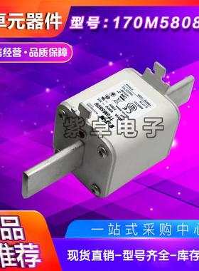 Bussmann熔断器170M5808170M5809170M5810170M5811170M5812