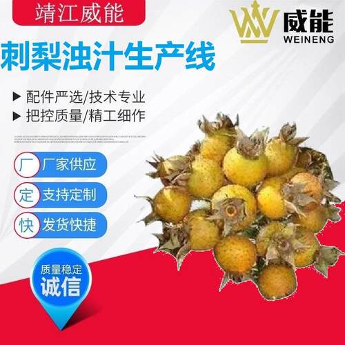 直销大型工业商用不锈钢刺梨浊汁生产线