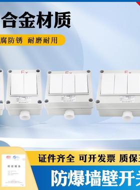 包邮防爆墙壁开关BQK-1K2K3K4K防爆照明开关SW-10单控双控开关