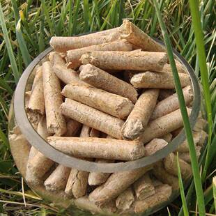 长期供应樟子松木质生物质颗粒燃料无烟环保颗粒炉生物质燃料