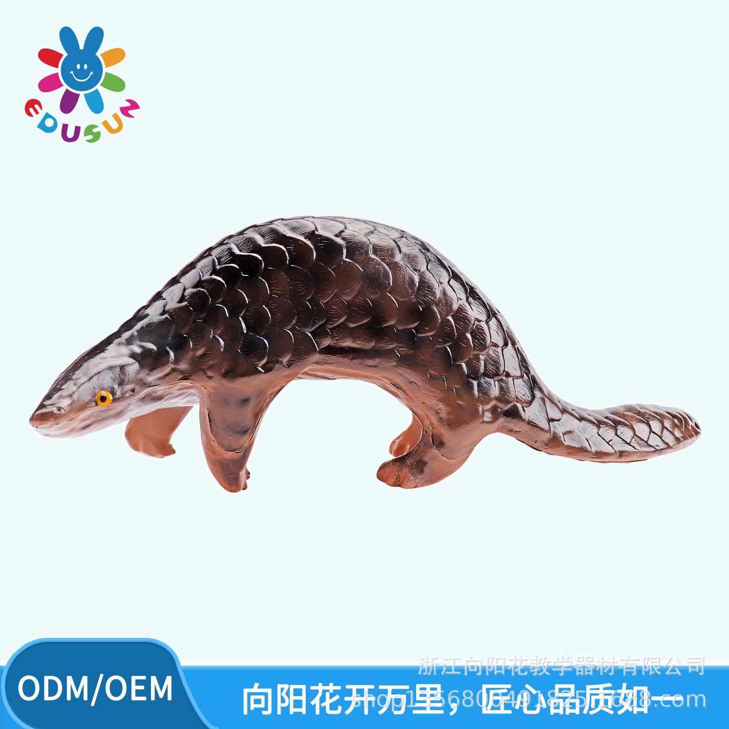 厂家销售3235仿真穿山甲模型生物教学模型