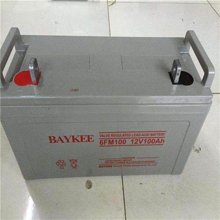 BAYKEE柏克蓄电池6FM17免维护型绿篱机UPS计算机不间断电灰色