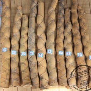 龟甲竹 5公分竹材 人面竹 异性竹 奇形竹 竹杆 茶具 茶匙 原材料