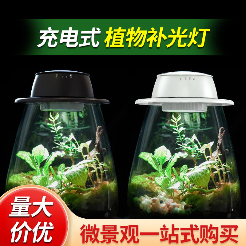 「空城里」无线充电式植物补光灯微景观全光谱露集杯LED生长灯