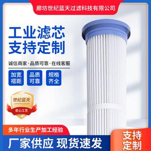 工业除尘滤筒空气滤芯过滤网吸尘
