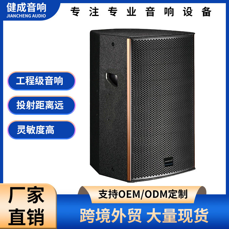 大型演唱会广场舞音箱单12寸酒吧蹦迪音响单15寸多功能派对音响