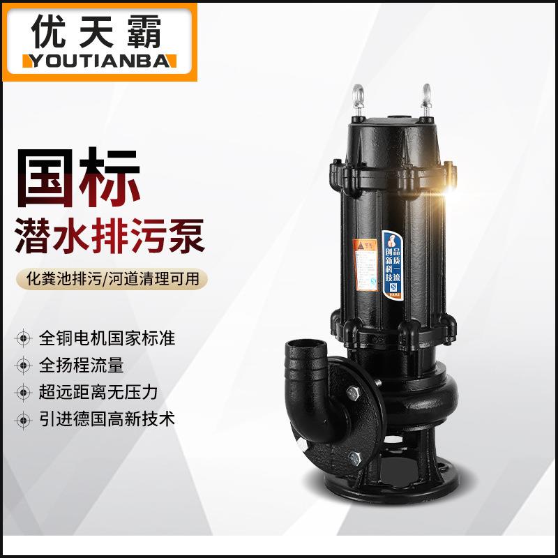 国标WQ污水泵潜水排污泥泵地下室集水坑排水泵提升泵两三相380V