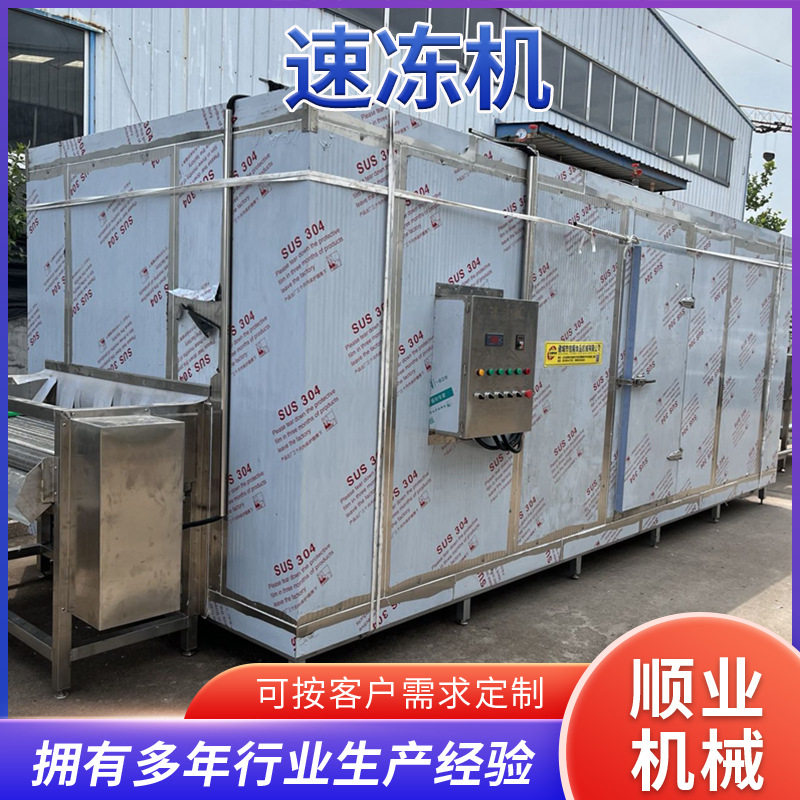 海鲜龙虾尾速冻机水果黄桃冷冻设备水产连续式速冻生产线大型商用