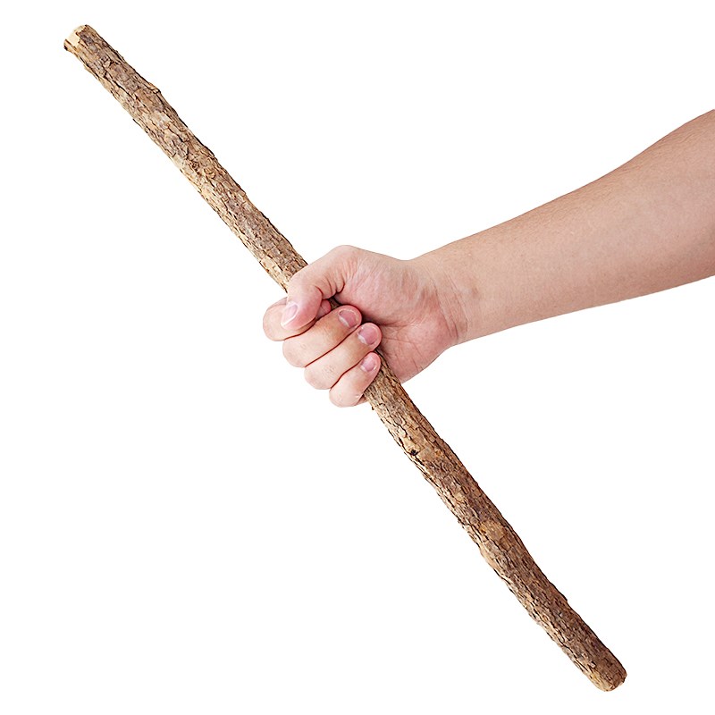 逗猫棒木天蓼加粗长杆猫玩具解闷磨牙猫薄荷洁齿清新口气猫咪用品