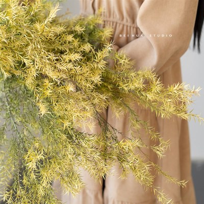 天然干花千层金真花风干diy材料 插花配花装饰摆件北欧风拍照道具