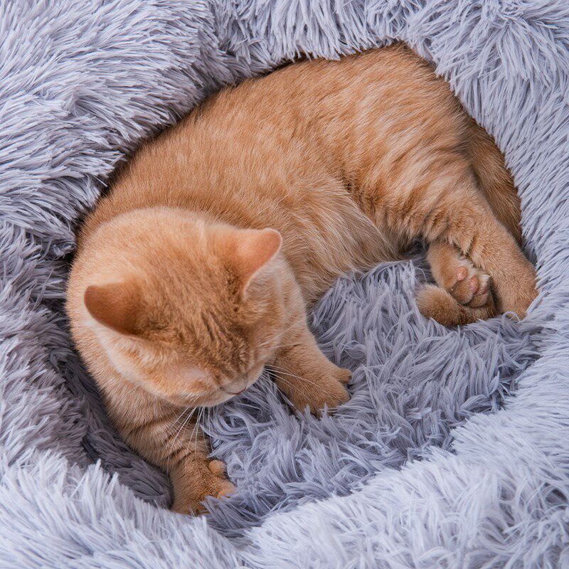 猫窝狗窝宠物舒适垫子四季通用布偶加菲狸花猫踩奶窝猫床冬天保暖