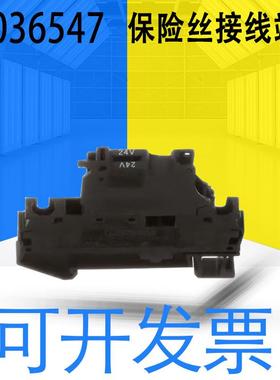原装ST 4-HESILED 24(5X20)悬臂式保险丝接线端子3036547一盒50个