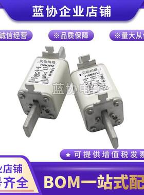 快速熔断器保险丝170M3808170M3809381038113812170M3813