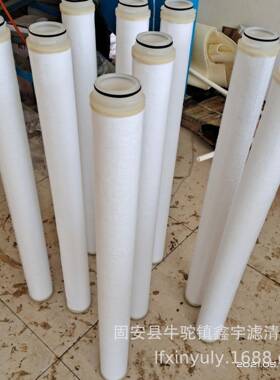 现货供应NXAM10-2U-NF定子循环水过滤器