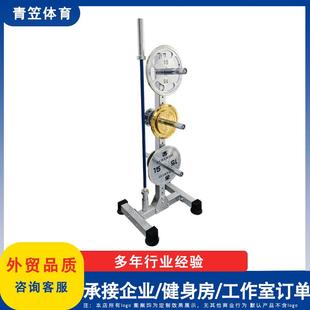 电镀杠铃片存片架杠铃杆储存架奥片存放架大孔片放置健身房置物架