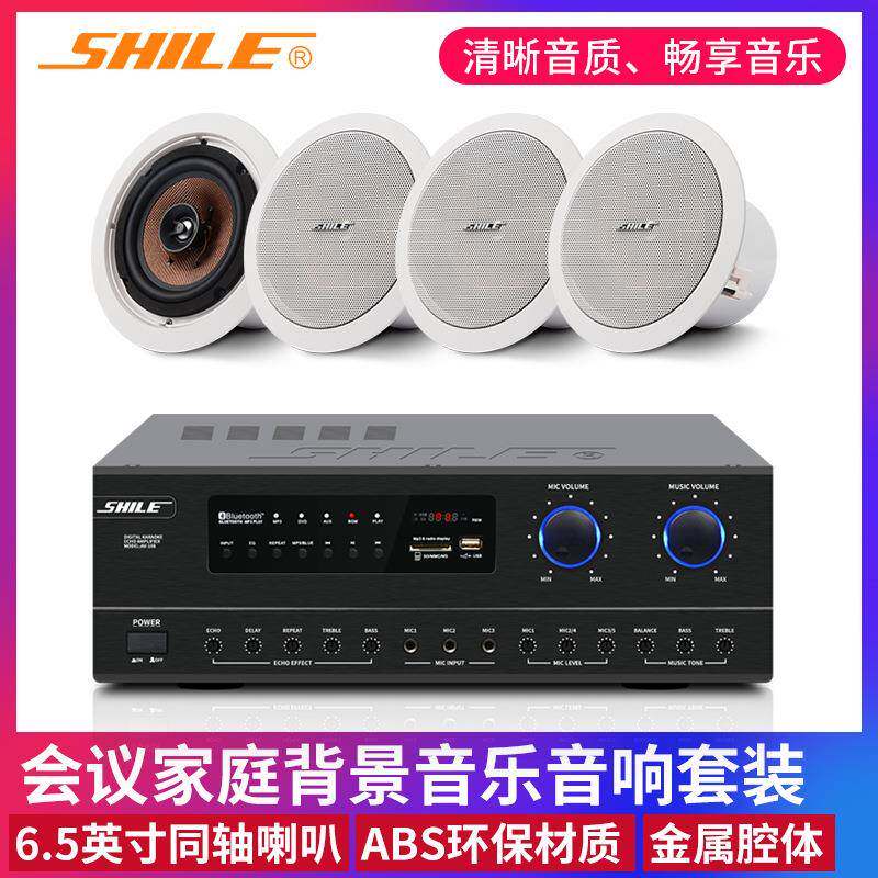 定阻吸顶l喇叭会议音响套装狮乐BX205公共广播背景天花音箱系统
