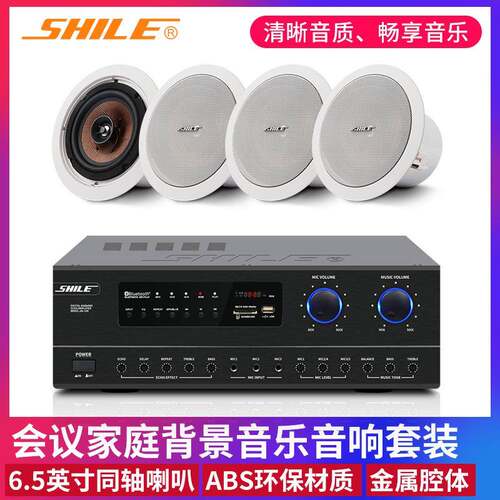 定阻吸顶l喇叭会议音响套装狮乐BX205公共广播背景天花音箱系统