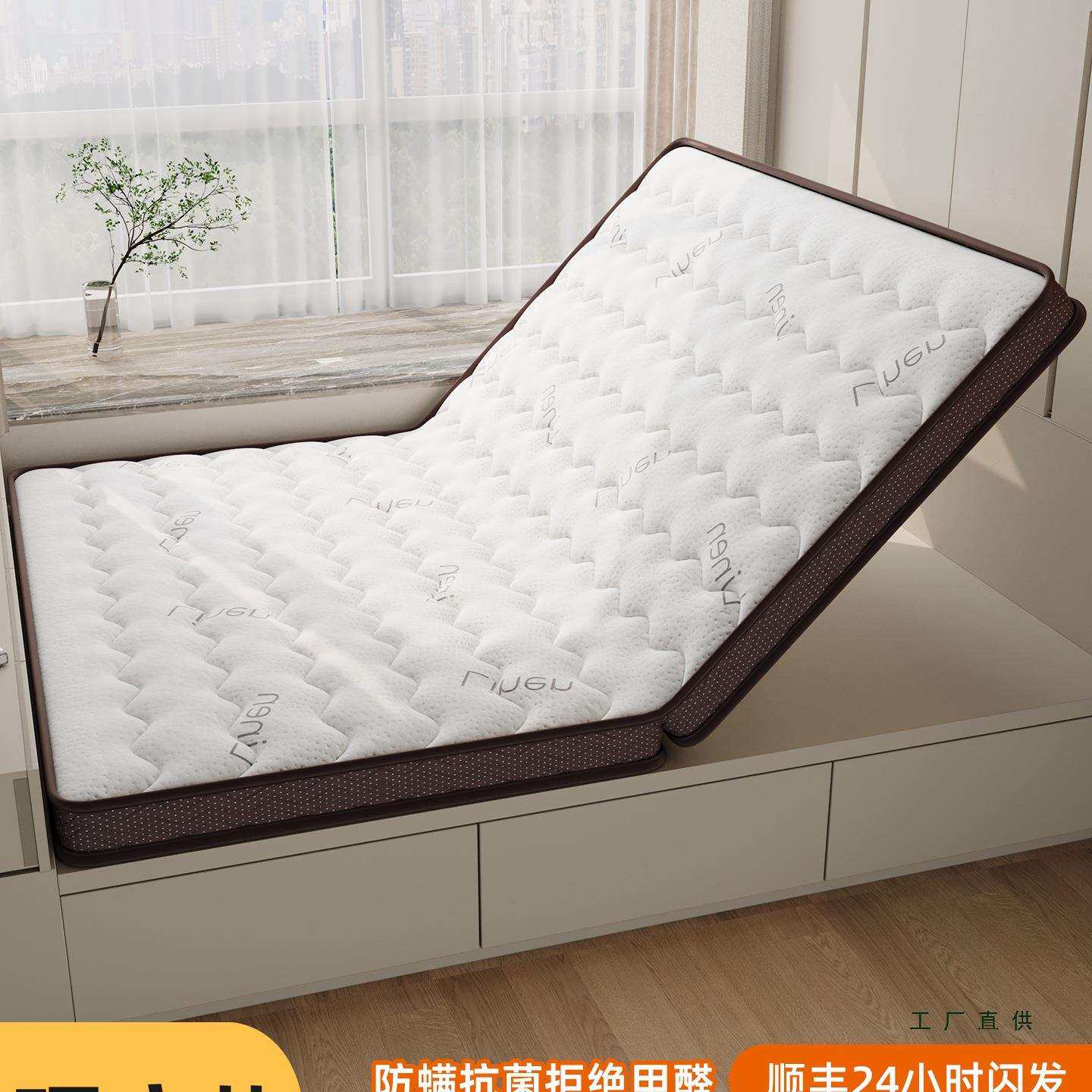 椰棕床垫硬垫子家用卧室榻榻米棕榈床垫儿童床垫180x200租房专用