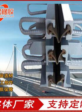 公路桥梁伸缩缝D40/60/80型桥梁伸缩缝GQF-E/C/F/Z型伸缩缝变形缝