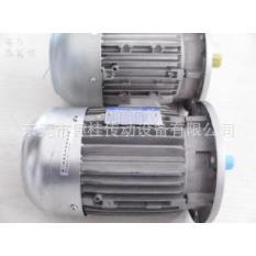 意大利NERI MOTORTI 电机 T80B4B3/0.75KW三相异步电机