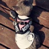 喵要去看看 世界那么大 猫牵引绳 溜猫绳