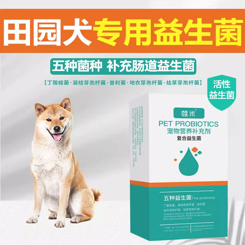 中华田园犬专用益生菌粉宠物犬用狗狗幼犬成犬活性菌肠道消化宝,宠物/宠物食品及用品,狗益生菌,淘宝优惠券,粉丝福利购,淘宝优惠卷