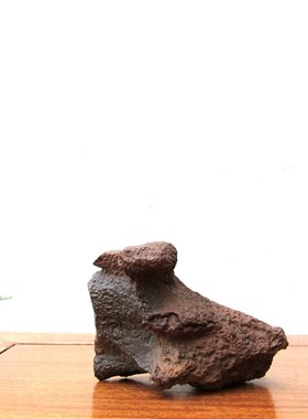 天然戈壁奇石风凌石原石整体随形摆件艺术造景观赏石收藏高档礼品