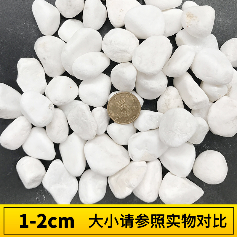 植物鱼缸盆栽多肉石子小粒介质垃圾桶碎石小石头酒店白色专用颗粒