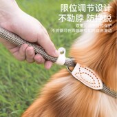 狗狗牵引绳p绳遛狗牵引绳p链牵狗绳中大型犬防爆冲狗链防咬栓狗绳