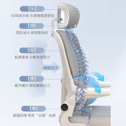 B-ZY电椅人体工学椅家用脑适学久坐靠背办舒公室座椅大生宿舍办公