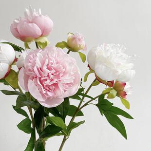 牡庆丹真花中式芍药花DSD89客厅餐桌欧式摆放仿绢花假婚插花室内