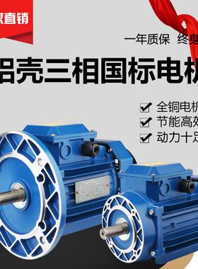 铝壳三相交流异步电机 YS7112-0.37kw 铝壳圆形新款方形铝壳电机