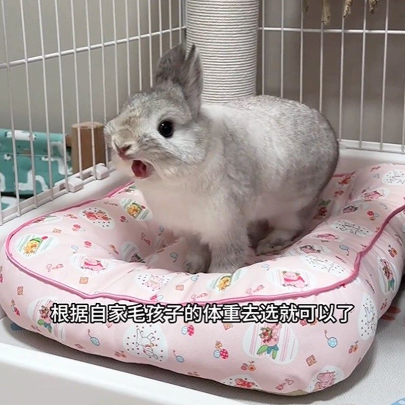 兔子窝趴趴垫夏季垫子猫咪狗狗四季通用兔兔睡垫加厚睡觉用的头垫