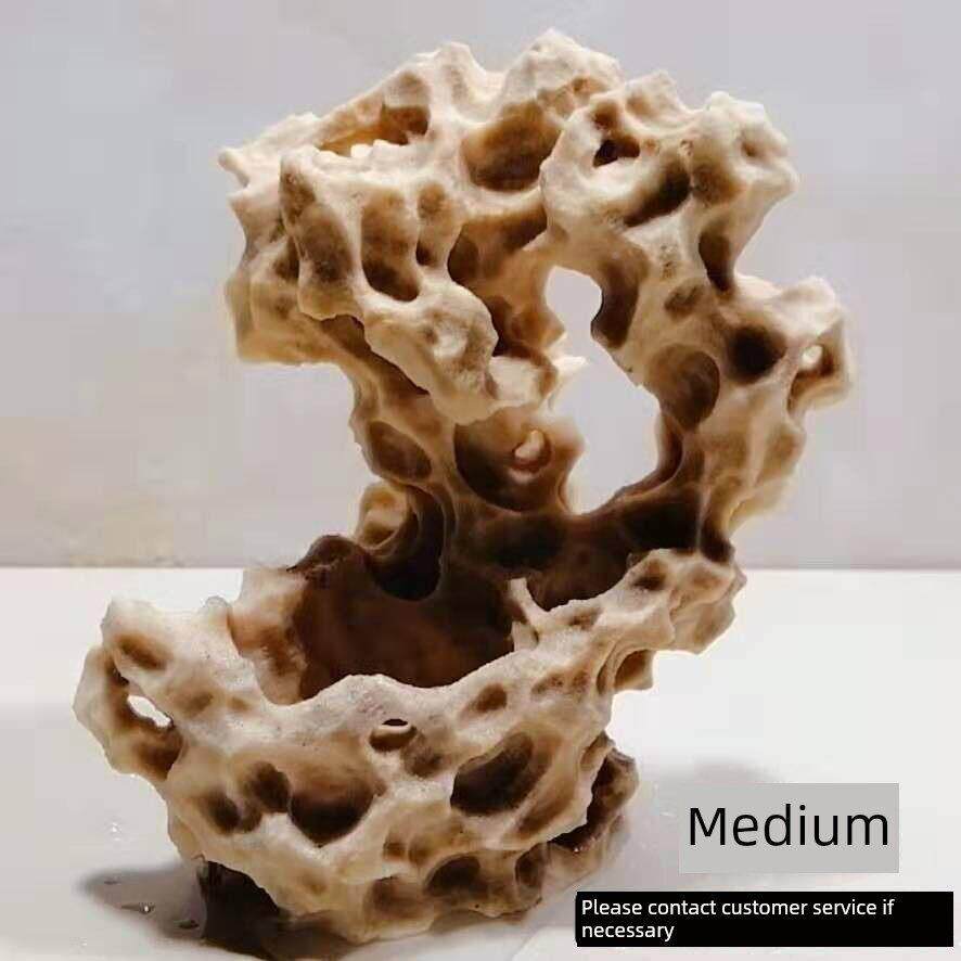 吸水石石吴鼎苔藓盆捕三色堇水石菖附石家居店景KWW庭院饰蒲品