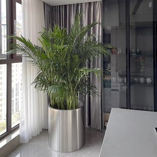 园艺花盆 304不锈钢花器 圆柱形花盆缸 金属花钵 大花器 定制花盆