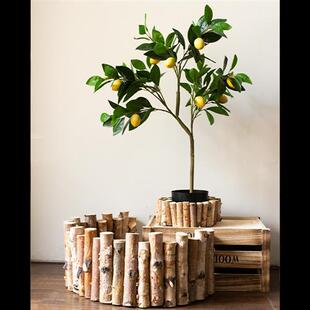 JK慕空间白桦实木栅栏花盆室内花园篱笆造景装饰庭院小围栏摆件