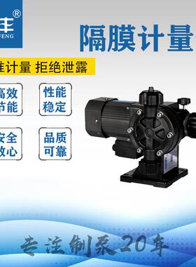 供应DJ375精膜L系列隔式计量泵计加量药设备密机械设备