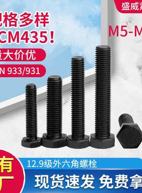 M5-M1612.9级DIN933/931外六角螺栓高强度螺栓全牙半牙外六角