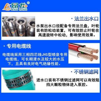 定制QSP音乐喷泉专用泵 公园观景潜水泵 高扬程大流量浸水式水泵